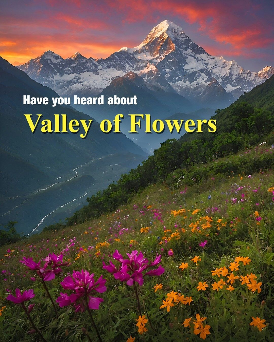 Valley of Flowers Trek 2025: Complete Guide – Cost, Itinerary, Permits & Safety Tips